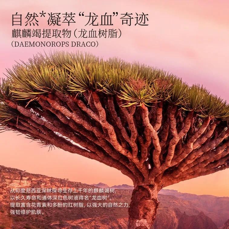 Fan Beauty Dragon's Blood Lentinus Fermentation Facial Treatment Mask 5pc 麒麟竭菌菇丝发酵修护⾯膜 5片