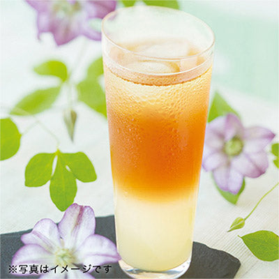 Lupicia Flavored Iced Tea Earl Grey 日本Lupicia绿碧茶园 夏季限定 冷茶英伦伯爵 5g*20(赏味期限:04/2027)5201