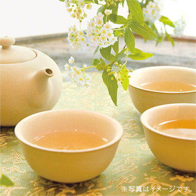 Lupicia Flavored Iced Tea Jasmine Mandarin Tea Bag 日本Lupicia绿碧茶园 夏日限定 冷茶茉莉花茶 5g*20 (赏味期限:04/2027)8200