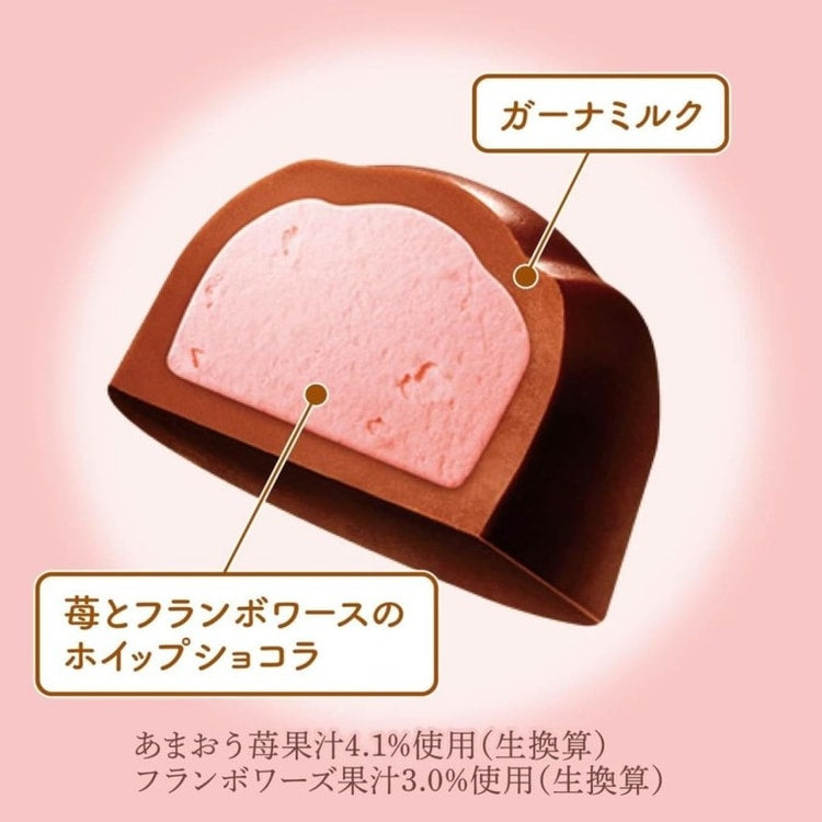 LOTTE Lotte Premium Ghana Chocolates 14pcs 日本季节限定香草莓果双拼巧克力 14pcs (EXP: 12/2026)
