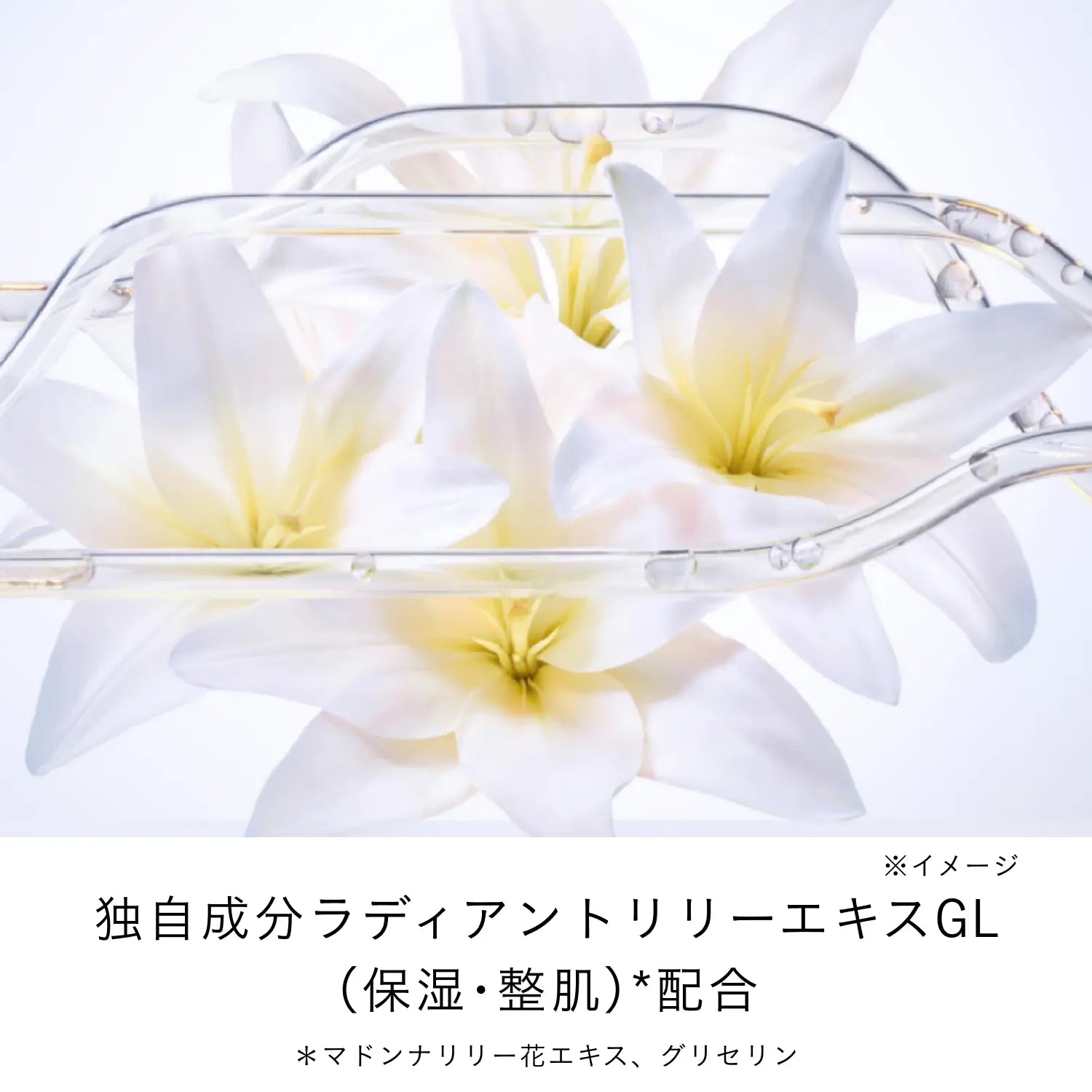 Clé de Peau Beauté Adcanced Intensive Night Cream 肌肤之钥 2025全新升级版 光彩紧致夜间修护乳霜 50g