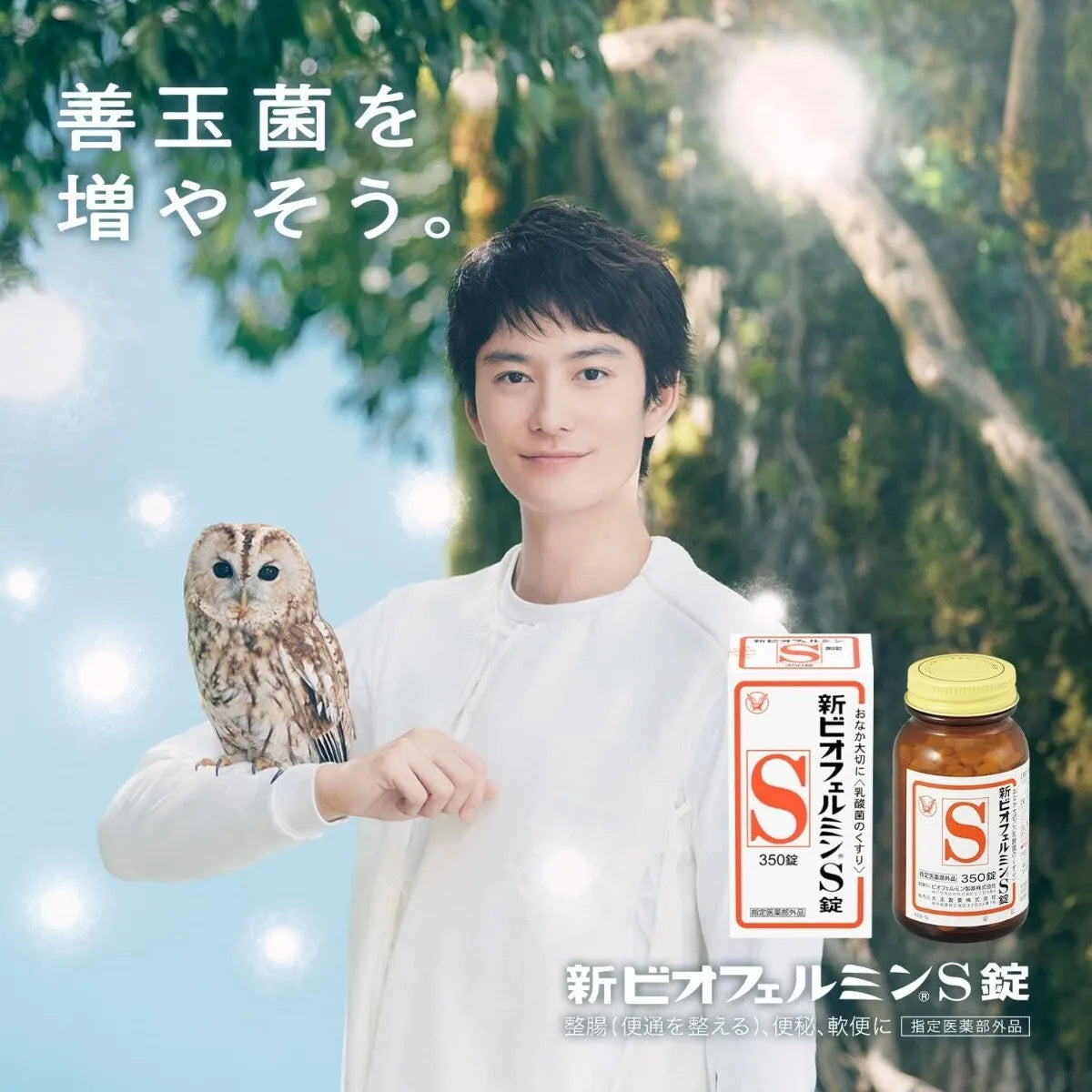 日本TAISHO大正制药 新表飞鸣biofermin S 乳酸菌调理肠胃益生菌片 350粒(保质期2028.09)