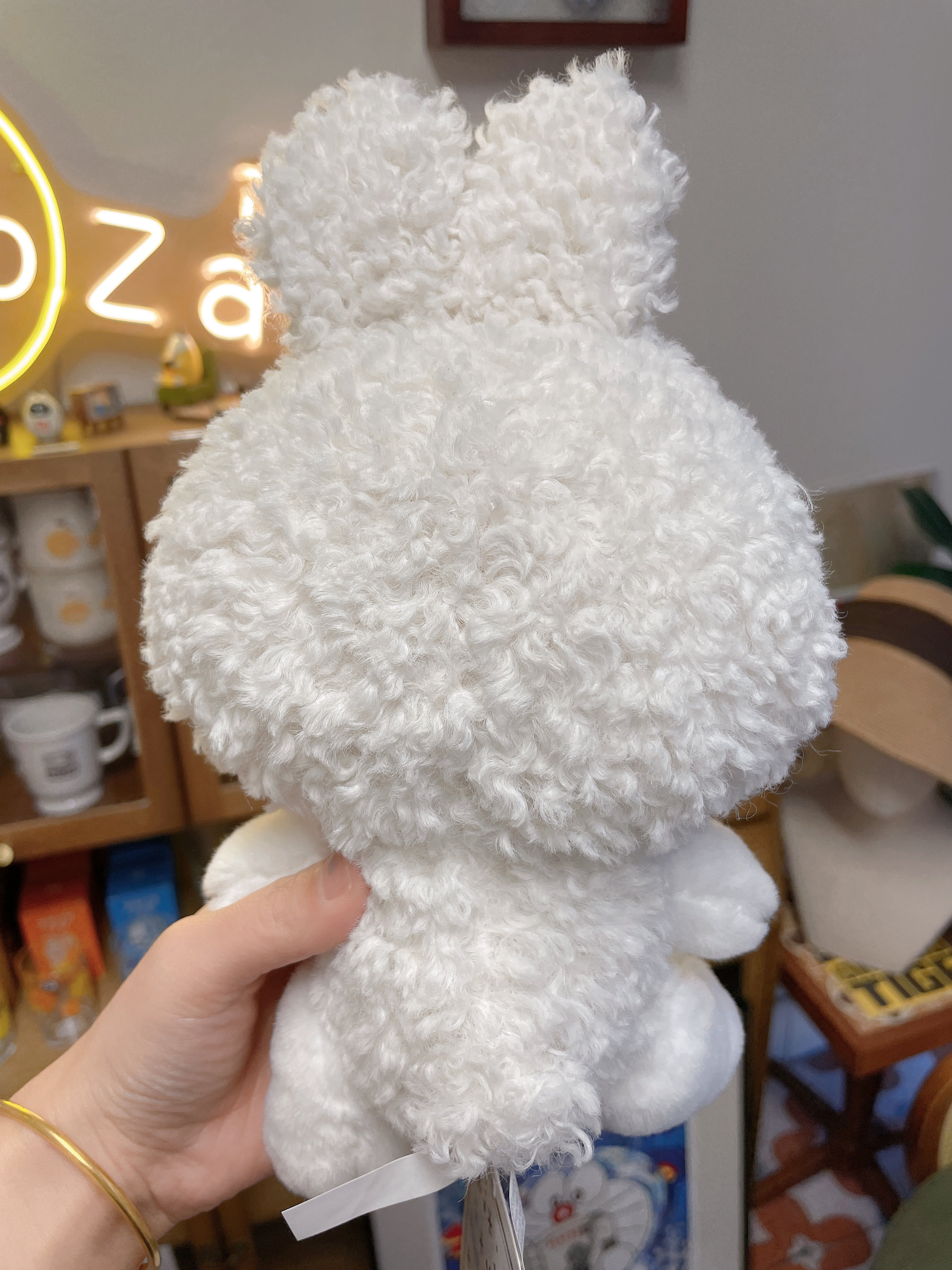 日本 SANRIO 三丽鸥  冬季新款雪花❄️公仔Kitty