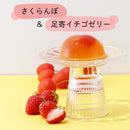 ISHIYA Gelée Nord Fruit Jelly 白色恋人 夏季水果味果冻 4pcs （赏味期限：09/19/2026）