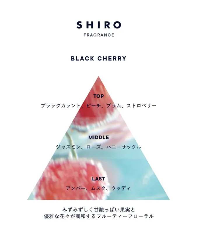 🇯🇵SHIRO 2024季节限定 黑樱桃 black cherry  发膜 150g 特殊护理 深层滋养