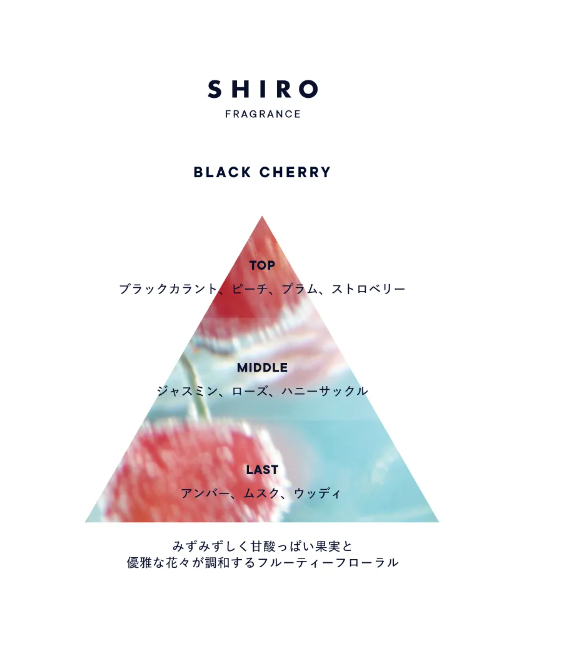 日本SHIRO 2024 季节限定香水 Black Cherry 黑樱桃 40ml