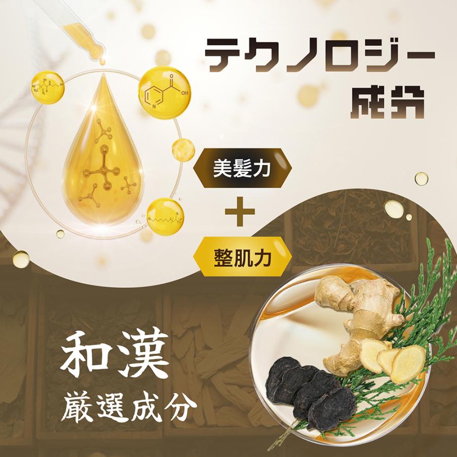 Seika Pore Care Shampoo 菁华全 防脱洗发水 400ml