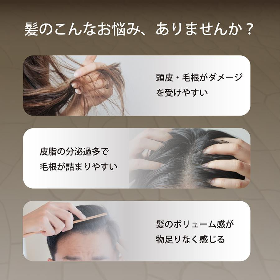Seika Pore Care Shampoo 菁华全 防脱洗发水 400ml