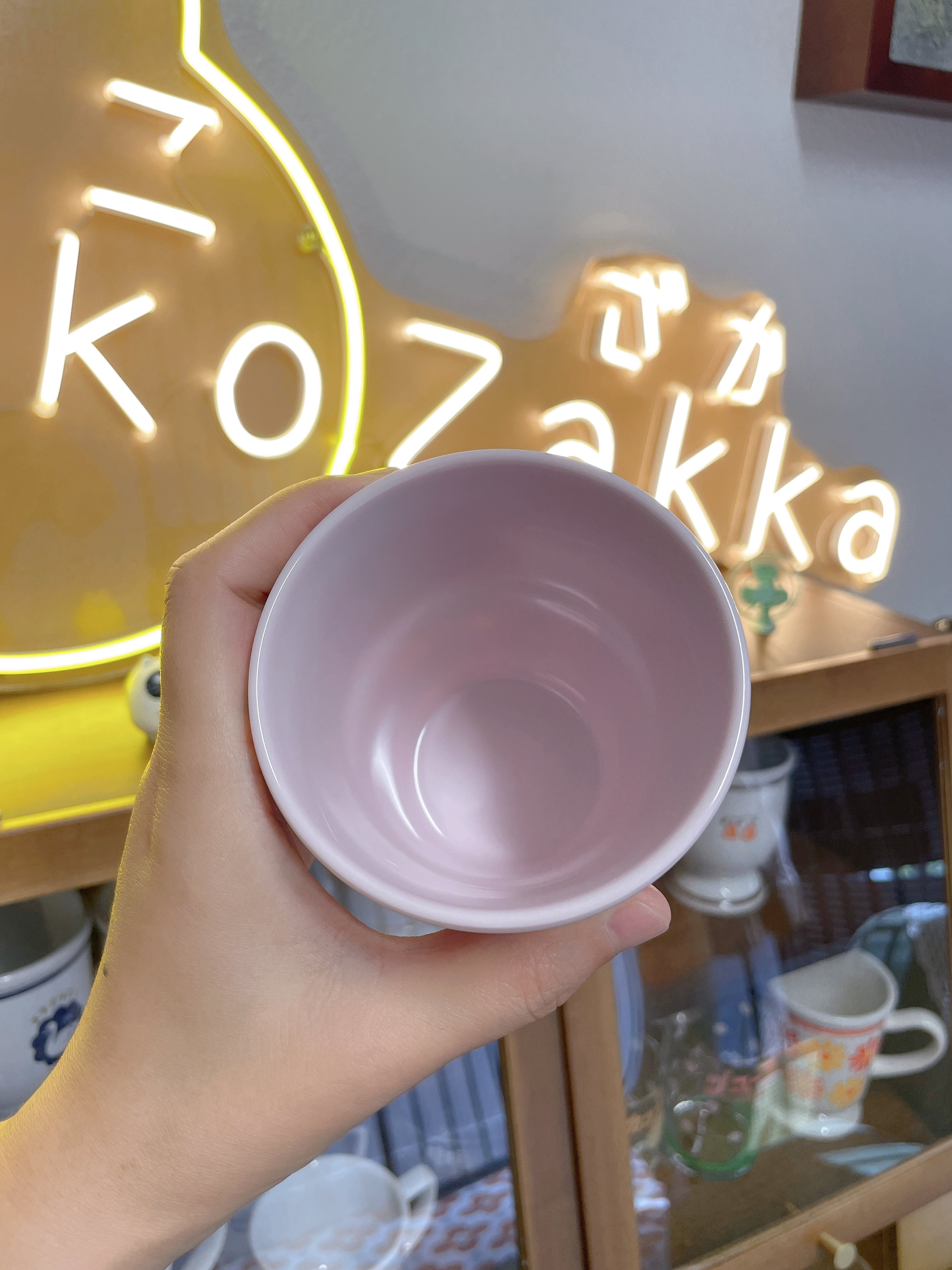 日本 Skater 美乐蒂库洛米 儿童卡通树脂杯子270ml