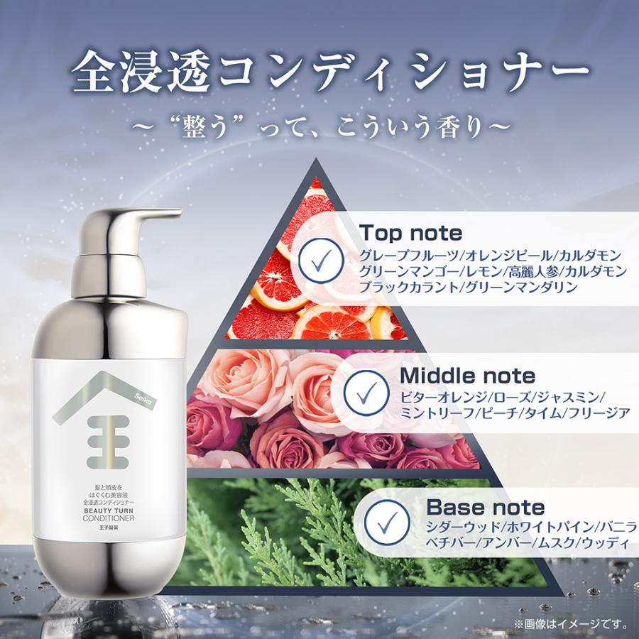 Seika Pore Care Conditioner 菁华全 防脱护发素 400ml