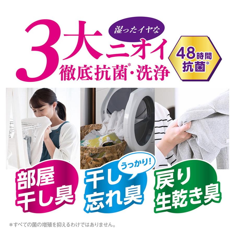 Lion Antibacterial Detergent 狮王 抗菌除臭洗衣液 900g