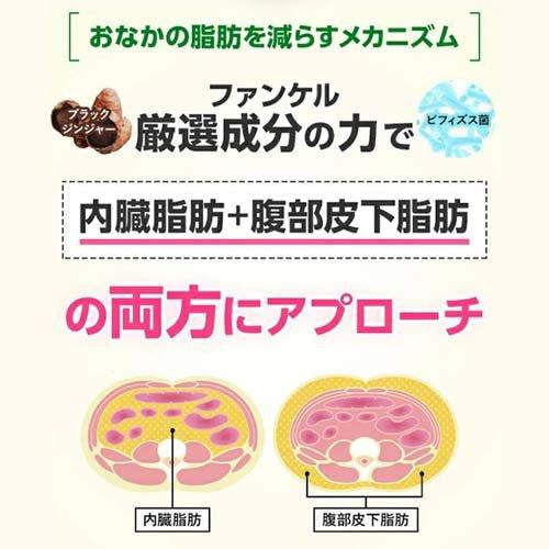 Fancl Inner Fat Support Functional Food 芳珂 内脂支援 益生菌减内脏脂肪分解减脂 90 Tablets（Exp：12/2027）新老包装随机发货