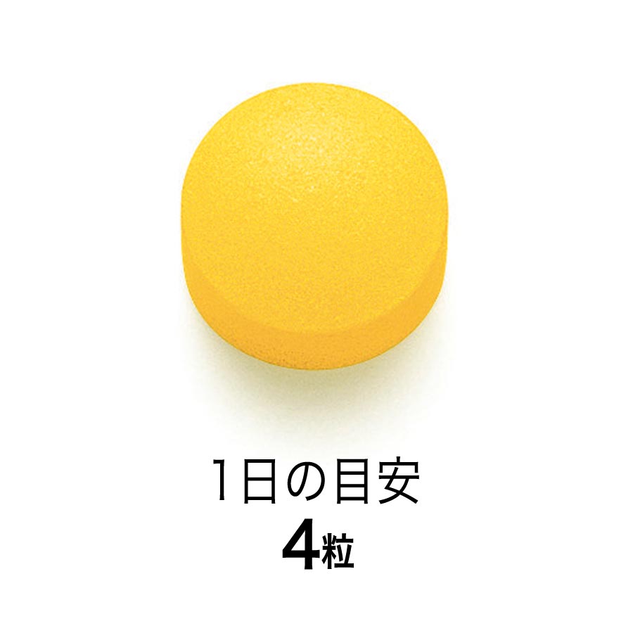 Fancl Triglycerides Support 日本FANCL 中性脂肪支持 120tablets (EXP:12/2027)
