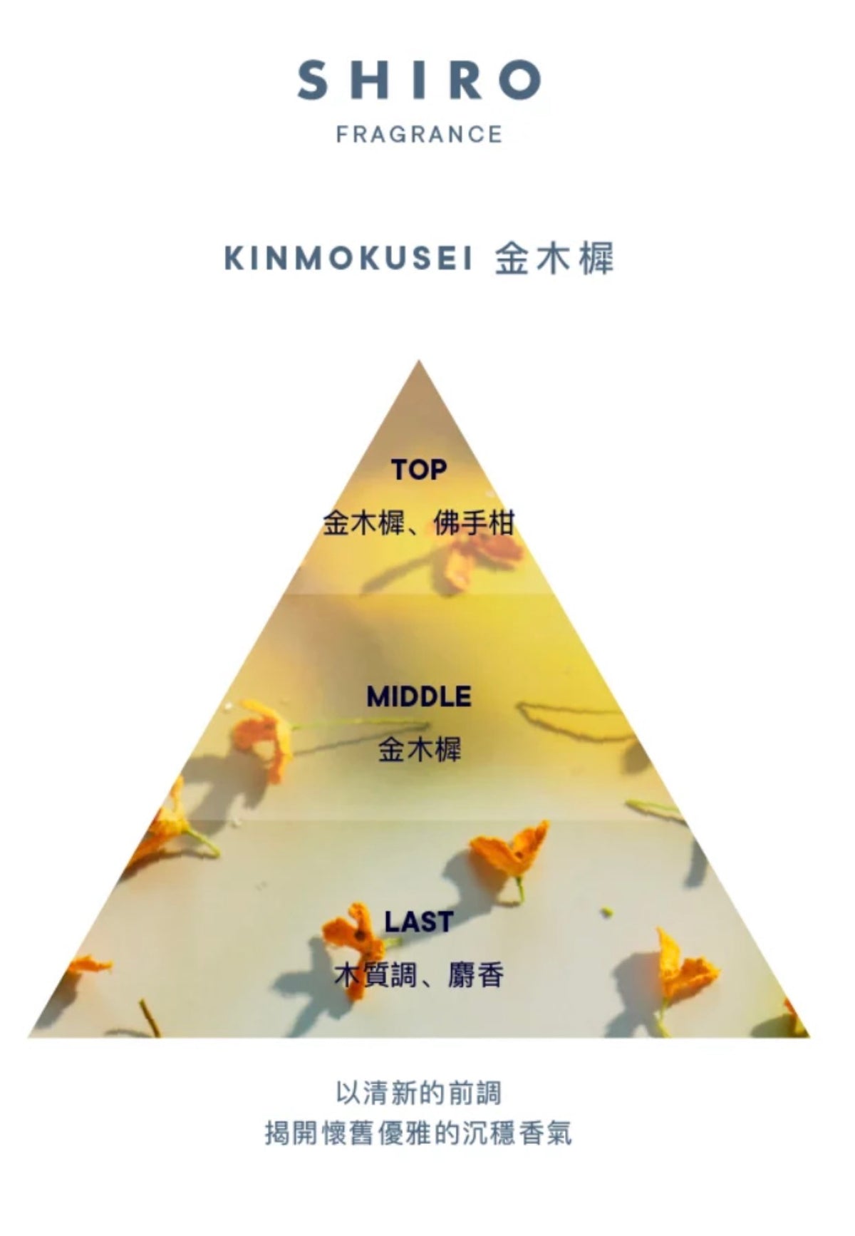 ⭐️SHIRO Kinmokusei Clay Hand Soap 日本SHIRO 北海道 金木樨火山泥磨砂洗手液 145ml