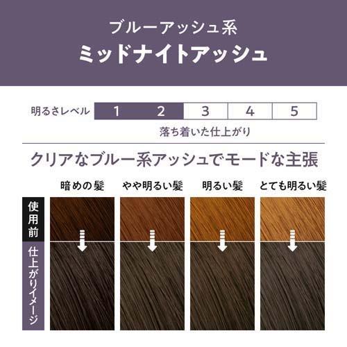 日本KAO花王 LIESE PRETTIA 泡沫染发剂  #午夜灰色 108ml