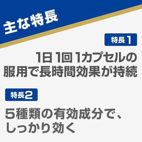 白兔 Anellon varnish cap 晕车晕船药 10粒（Nov-2027Y）