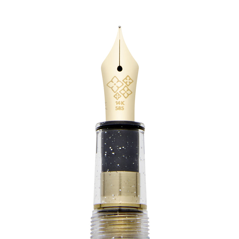 日本ANCORA钢笔 期间限定 紫阳花钢笔套盒（笔尖14K，MF（中细字））