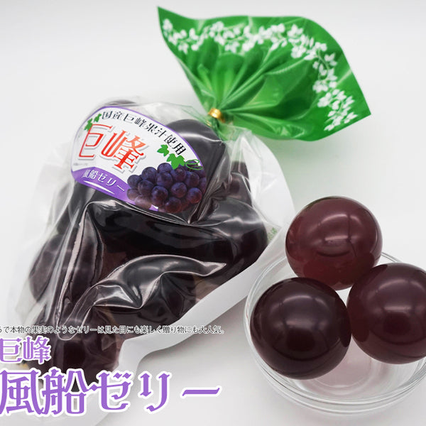 葡萄 Zeppelin LZ 129 Hindenburg 8086-3N LZ 129 Sustainable Planet