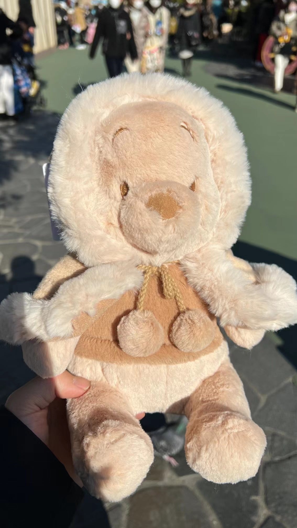 Tokyo Disney 东京迪斯尼 冬季限定奶茶噗噗公仔 维尼 pooh 帽子可以脱下来